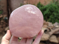 Polished Rose Quartz Standing Free Form x 2 From Madagascar