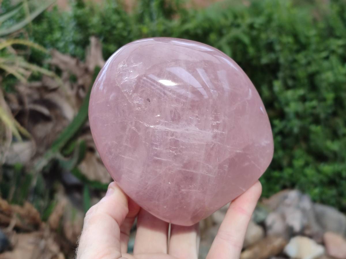 Polished Rose Quartz Standing Free Form x 2 From Madagascar - Toprock Gemstones and Minerals 