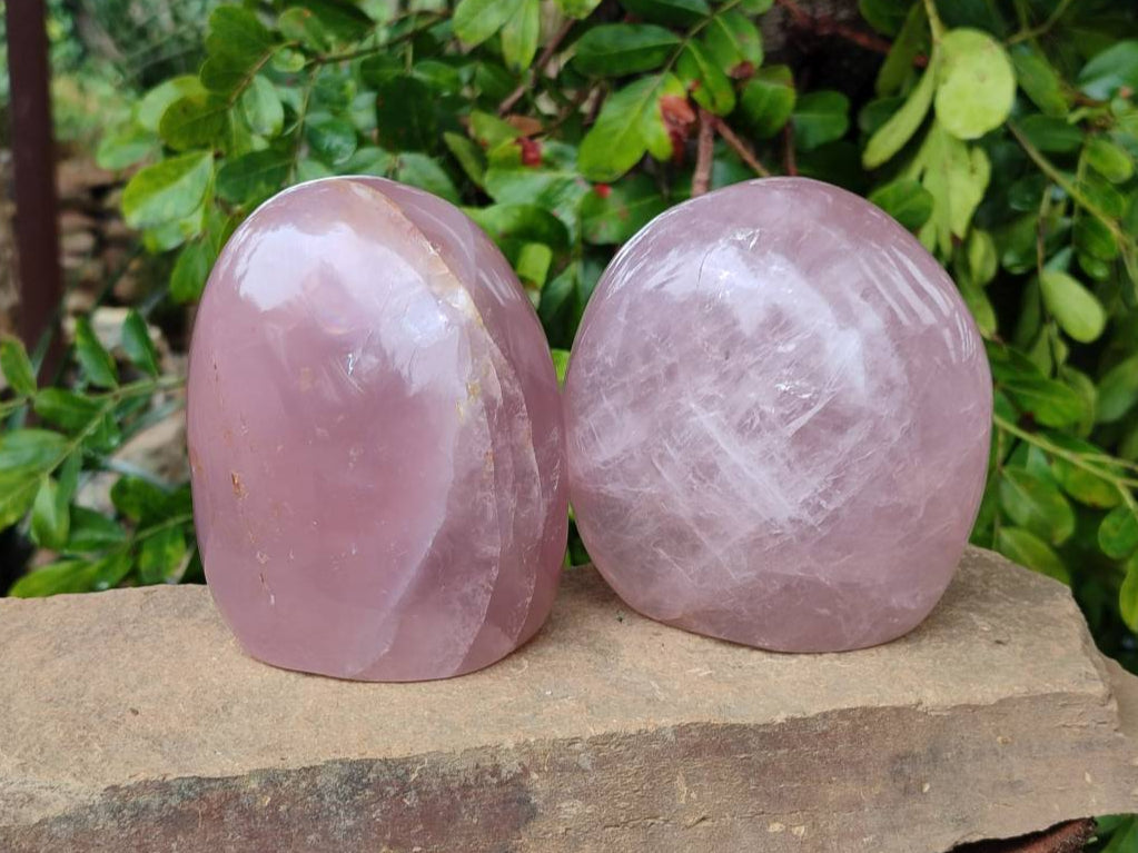 Polished Rose Quartz Standing Free Form x 2 From Madagascar - Toprock Gemstones and Minerals 