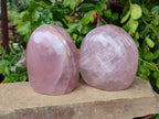 Polished Rose Quartz Standing Free Form x 2 From Madagascar - Toprock Gemstones and Minerals 