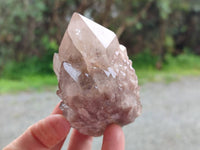 Natural Smokey Phantom Quartz Clusters x 6 From Luena, Congo