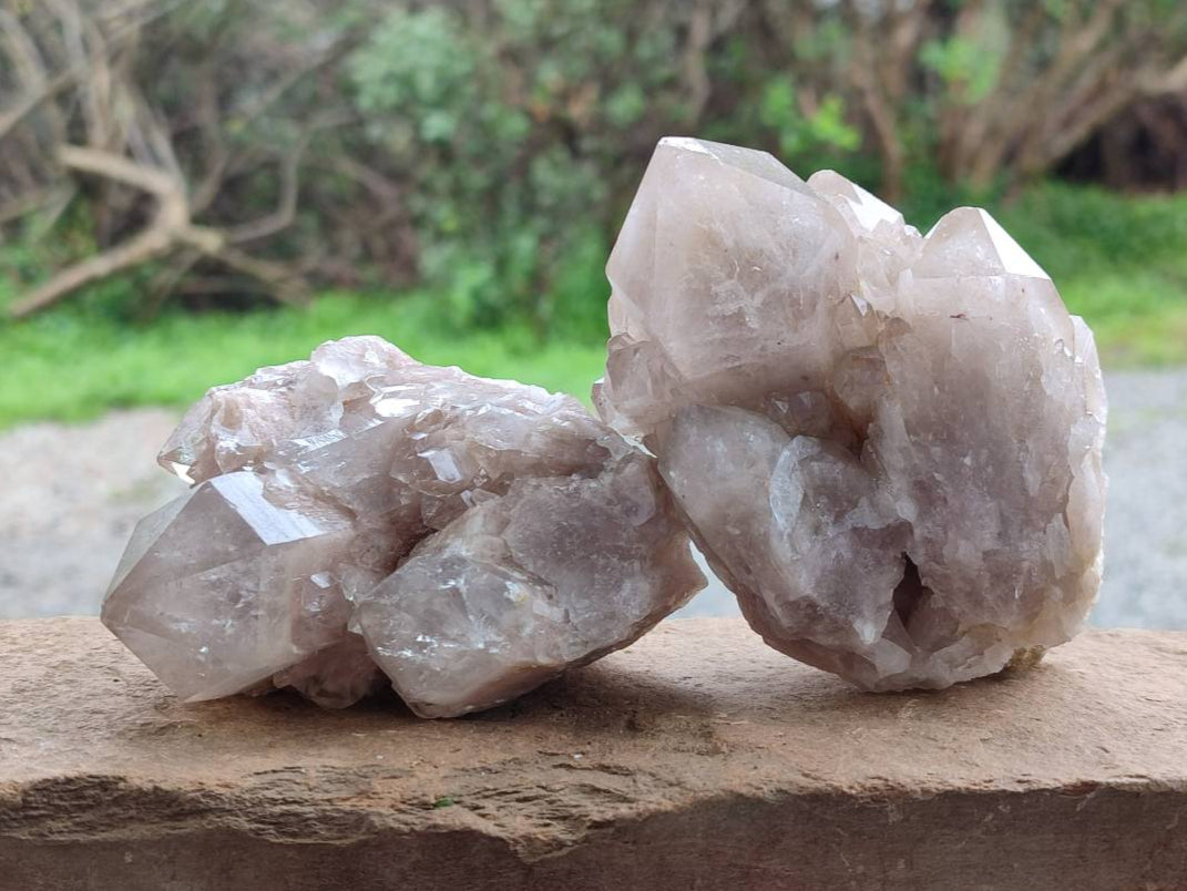 Natural Smokey Phantom Quartz Clusters x 6 From Luena, Congo - Toprock Gemstones and Minerals 