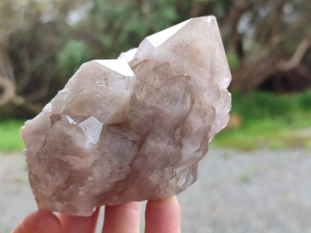Natural Smokey Phantom Quartz Clusters x 6 From Luena, Congo - Toprock Gemstones and Minerals 