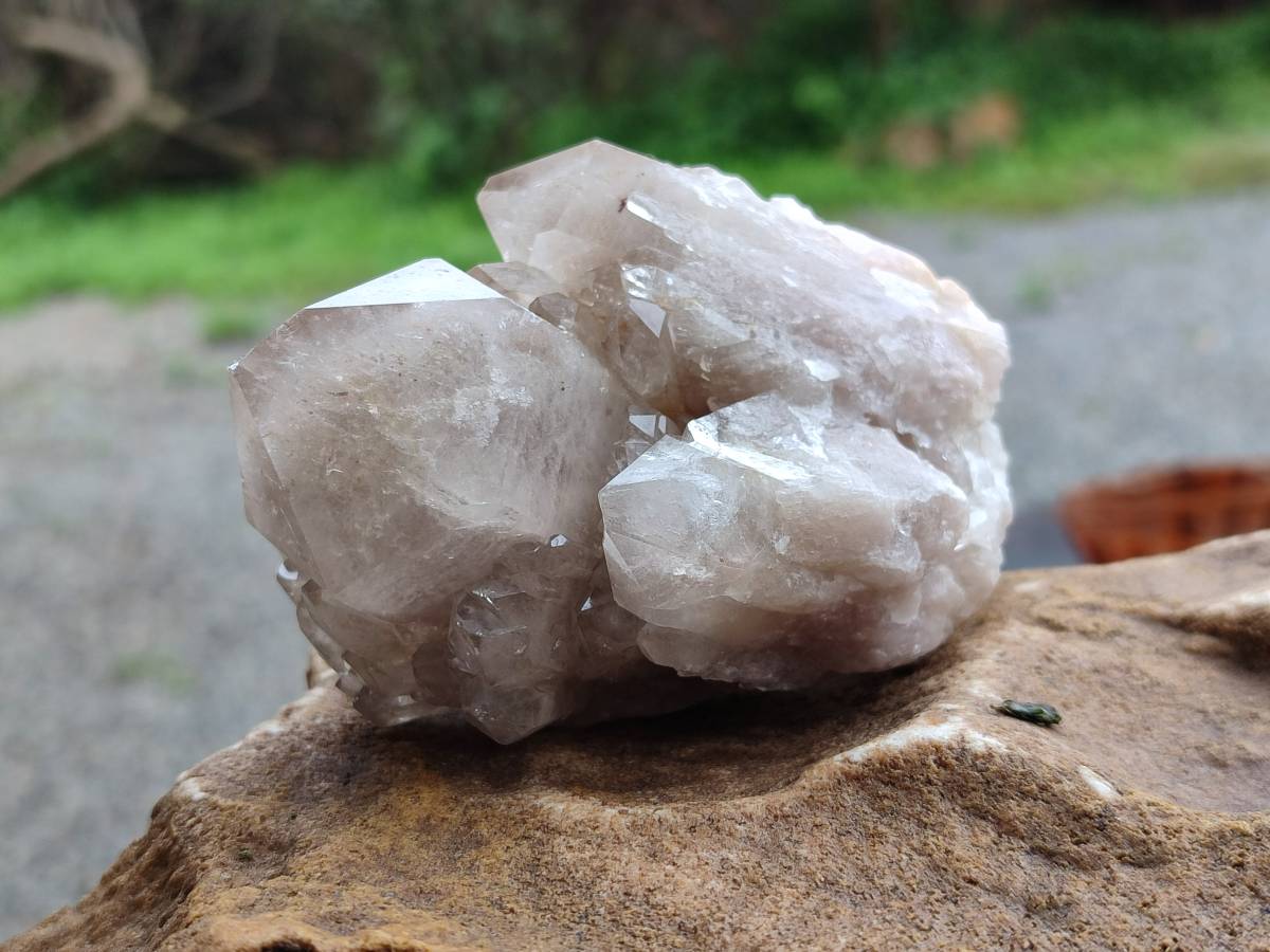 Natural Smokey Phantom Quartz Clusters x 6 From Luena, Congo - Toprock Gemstones and Minerals 