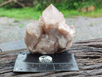 Natural Smokey Phantom Quartz Clusters x 6 From Luena, Congo