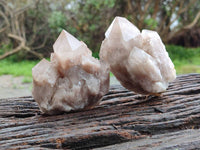 Natural Smokey Phantom Quartz Clusters x 6 From Luena, Congo