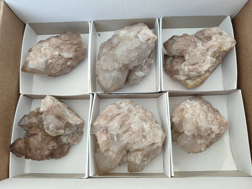 Natural Smokey Phantom Quartz Clusters x 6 From Luena, Congo - Toprock Gemstones and Minerals 
