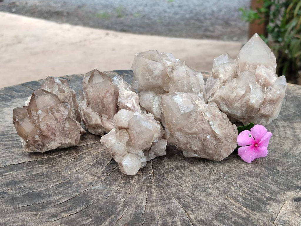 Natural Smokey Phantom Quartz Clusters x 6 From Luena, Congo - Toprock Gemstones and Minerals 