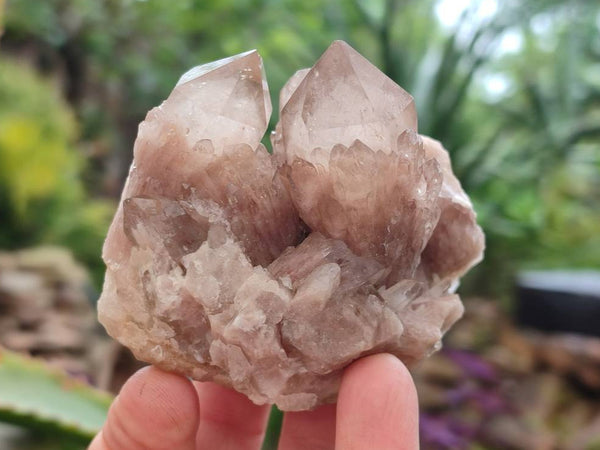 Natural Smokey Phantom Quartz Clusters x 6 From Luena, Congo