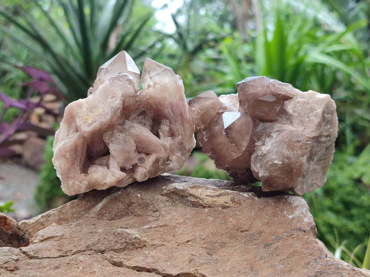 Natural Smokey Phantom Quartz Clusters x 6 From Luena, Congo - Toprock Gemstones and Minerals 