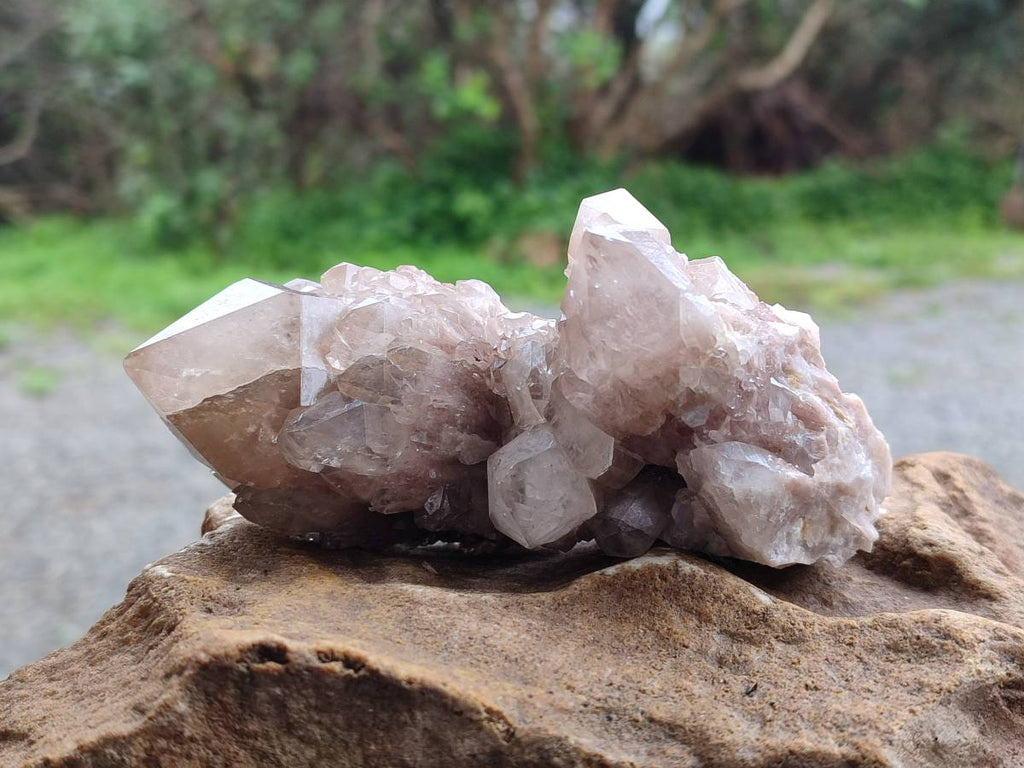 Natural Smokey Phantom Quartz Clusters x 6 From Luena, Congo - Toprock Gemstones and Minerals 