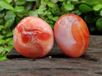 Polished Carnelian Agate Gemstone Galets x 20 From Madagascar - Toprock Gemstones and Minerals 