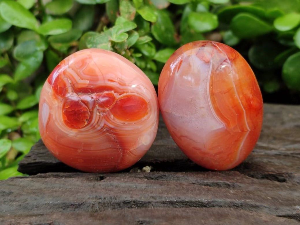 Polished Carnelian Agate Gemstone Galets x 20 From Madagascar - Toprock Gemstones and Minerals 
