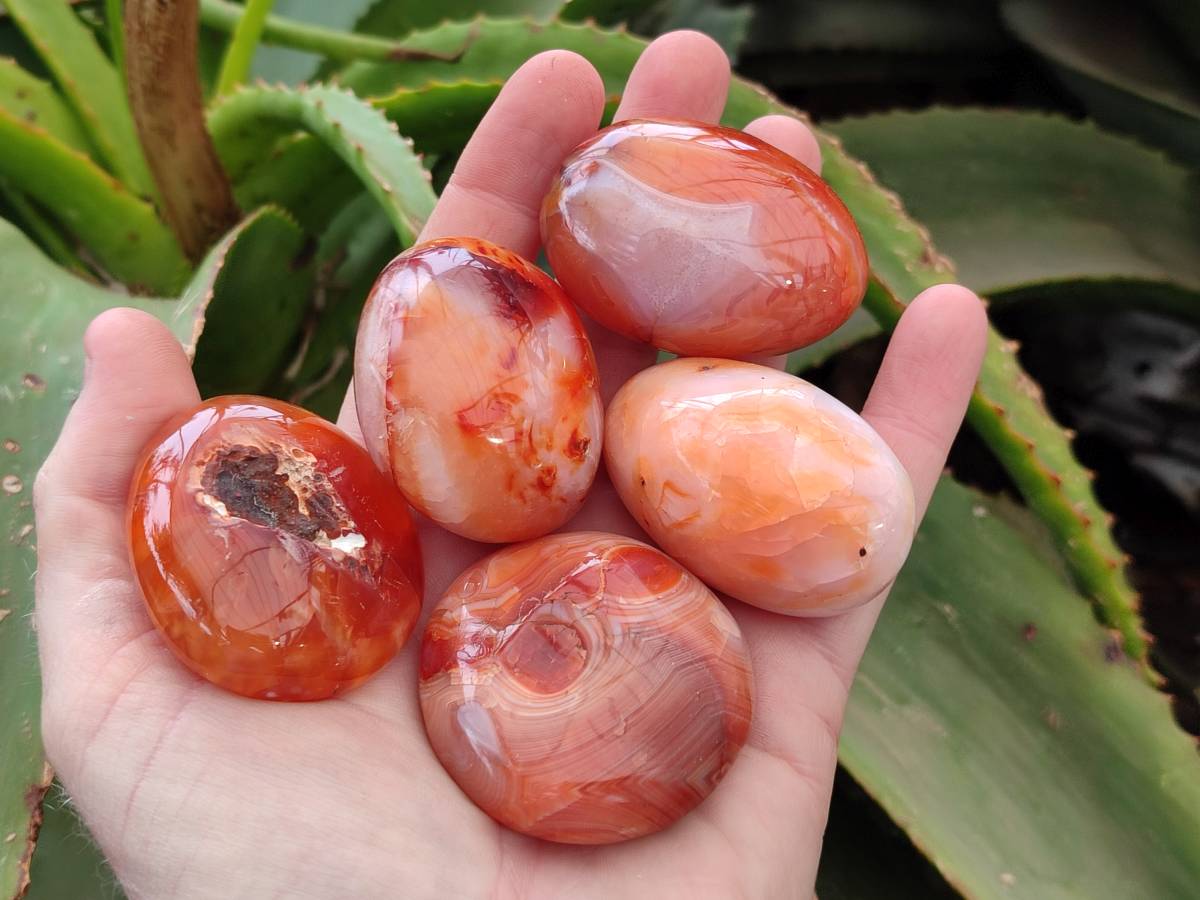Polished Carnelian Agate Gemstone Galets x 20 From Madagascar - Toprock Gemstones and Minerals 