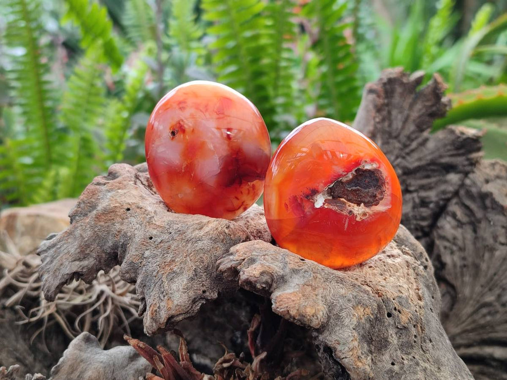 Polished Carnelian Agate Gemstone Galets x 20 From Madagascar - Toprock Gemstones and Minerals 