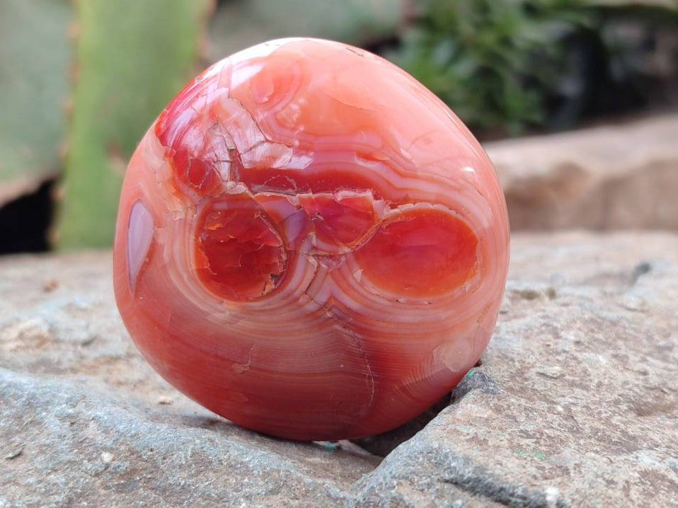 Polished Carnelian Agate Gemstone Galets x 20 From Madagascar - Toprock Gemstones and Minerals 