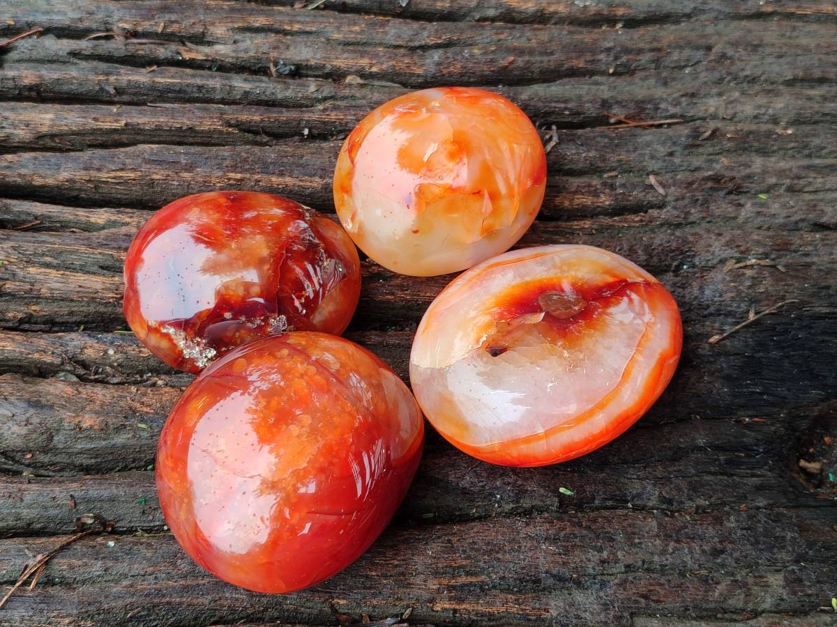 Polished Carnelian Agate Gemstone Galets x 20 From Madagascar - Toprock Gemstones and Minerals 