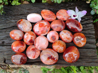 Polished Carnelian Agate Gemstone Galets x 20 From Madagascar