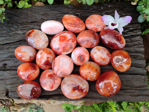 Polished Carnelian Agate Gemstone Galets x 20 From Madagascar
