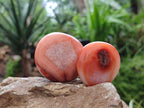 Polished Carnelian Agate Gemstone Galets x 20 From Madagascar - Toprock Gemstones and Minerals 