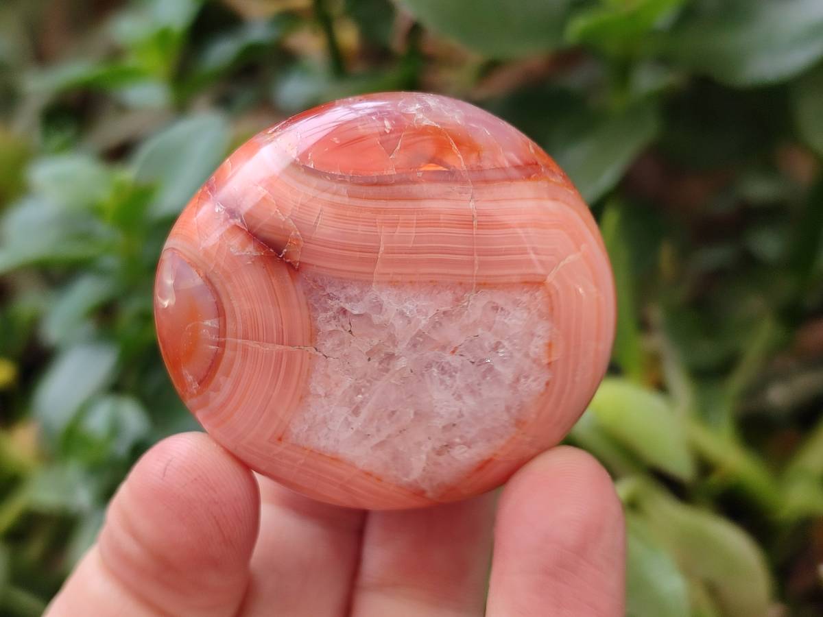 Polished Carnelian Agate Gemstone Galets x 20 From Madagascar - Toprock Gemstones and Minerals 