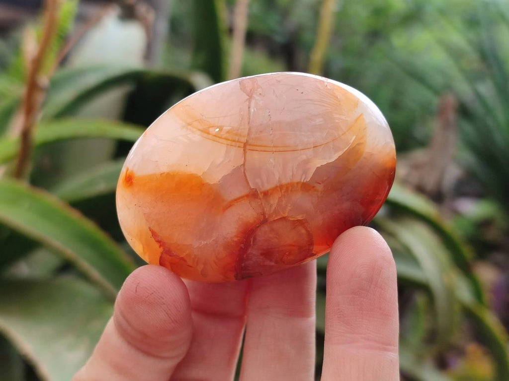Polished Carnelian Agate Gemstone Galets x 20 From Madagascar - Toprock Gemstones and Minerals 
