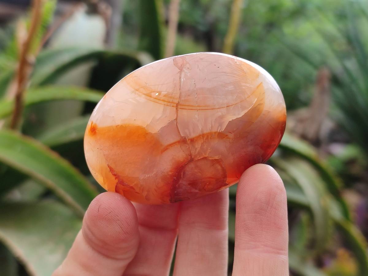 Polished Carnelian Agate Gemstone Galets x 20 From Madagascar - Toprock Gemstones and Minerals 