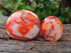 Polished Carnelian Agate Gemstone Galets x 20 From Madagascar - Toprock Gemstones and Minerals 