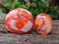 Polished Carnelian Agate Gemstone Galets x 20 From Madagascar