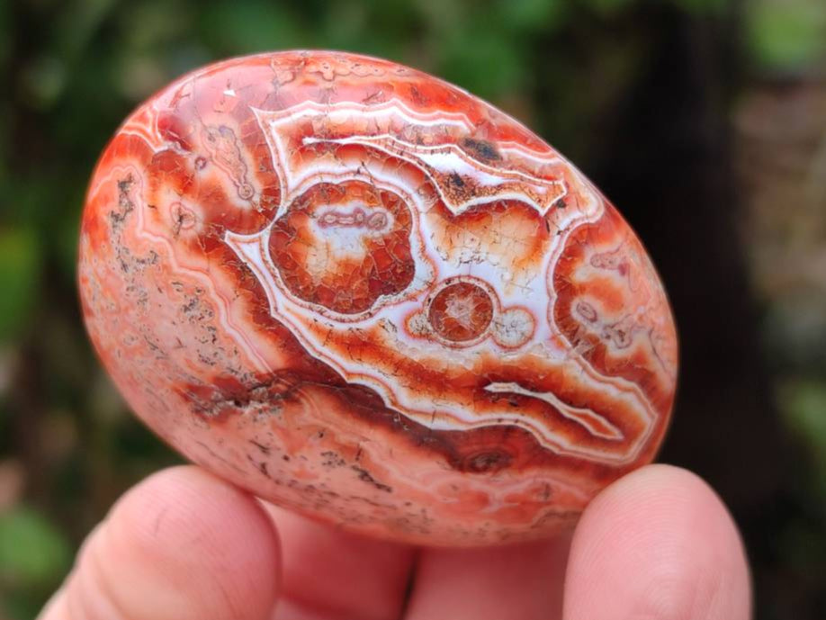 Polished Carnelian Agate Gemstone Galets x 20 From Madagascar - Toprock Gemstones and Minerals 