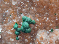 Natural Silky Ball Malachite and Drusy Quartz On Dolomite Matrix Specimen x 1 From Mindingi Mine, Kambove, Congo