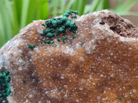 Natural Silky Ball Malachite and Drusy Quartz On Dolomite Matrix Specimen x 1 From Mindingi Mine, Kambove, Congo