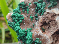 Natural Silky Ball Malachite and Drusy Quartz On Dolomite Matrix Specimen x 1 From Mindingi Mine, Kambove, Congo
