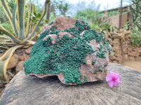 Natural Silky Ball Malachite and Drusy Quartz On Dolomite Matrix Specimen x 1 From Mindingi Mine, Kambove, Congo