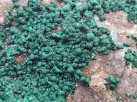 Natural Silky Ball Malachite and Drusy Quartz On Dolomite Matrix Specimen x 1 From Mindingi Mine, Kambove, Congo