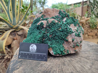 Natural Silky Ball Malachite and Drusy Quartz On Dolomite Matrix Specimen x 1 From Mindingi Mine, Kambove, Congo