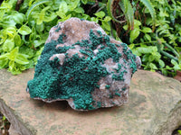 Natural Silky Ball Malachite and Drusy Quartz On Dolomite Matrix Specimen x 1 From Mindingi Mine, Kambove, Congo