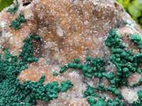 Natural Silky Ball Malachite and Drusy Quartz On Dolomite Matrix Specimen x 1 From Mindingi Mine, Kambove, Congo