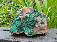 Natural Silky Ball Malachite and Drusy Quartz On Dolomite Matrix Specimen x 1 From Mindingi Mine, Kambove, Congo