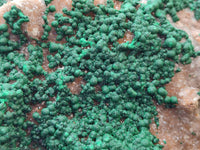 Natural Silky Ball Malachite and Drusy Quartz On Dolomite Matrix Specimen x 1 From Mindingi Mine, Kambove, Congo