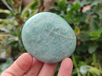 Polished Amazonite Palm Stones x 12 From Madagascar
