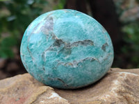 Polished Amazonite Palm Stones x 12 From Madagascar