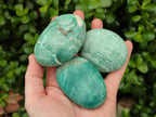 Polished Amazonite Palm Stones x 12 From Madagascar - Toprock Gemstones and Minerals 