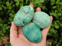Polished Amazonite Palm Stones x 12 From Madagascar