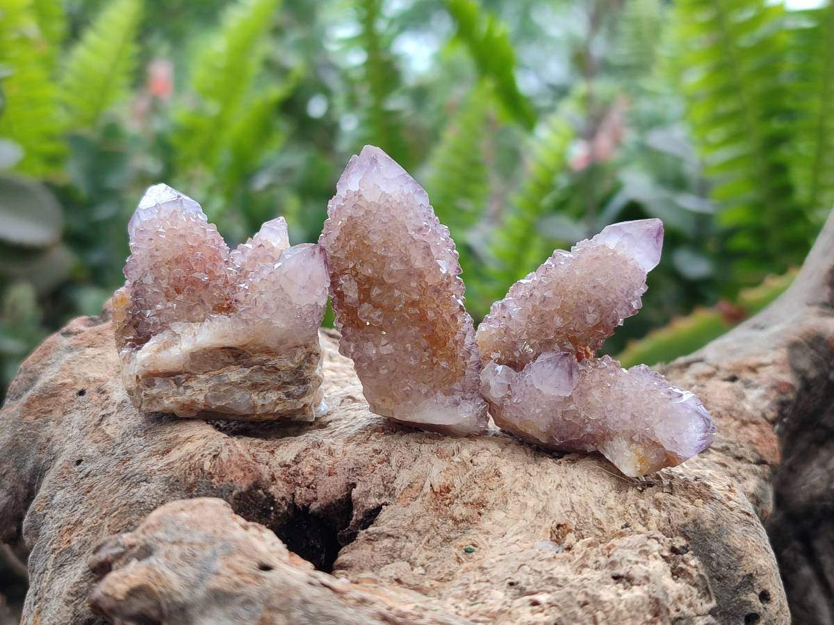Natural Amethyst Spirit Quartz Clusters & Crystals x 35 From Boekenhouthoek, South Africa - Toprock Gemstones and Minerals 