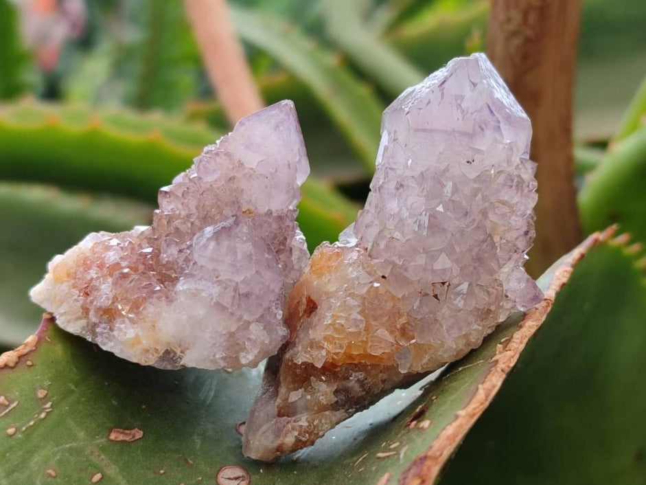 Natural Amethyst Spirit Quartz Clusters & Crystals x 35 From Boekenhouthoek, South Africa - Toprock Gemstones and Minerals 