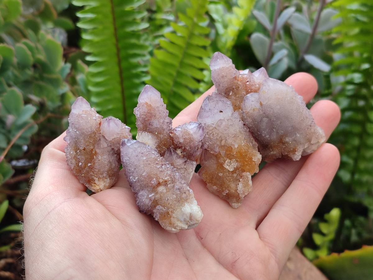 Natural Amethyst Spirit Quartz Clusters & Crystals x 35 From Boekenhouthoek, South Africa - Toprock Gemstones and Minerals 