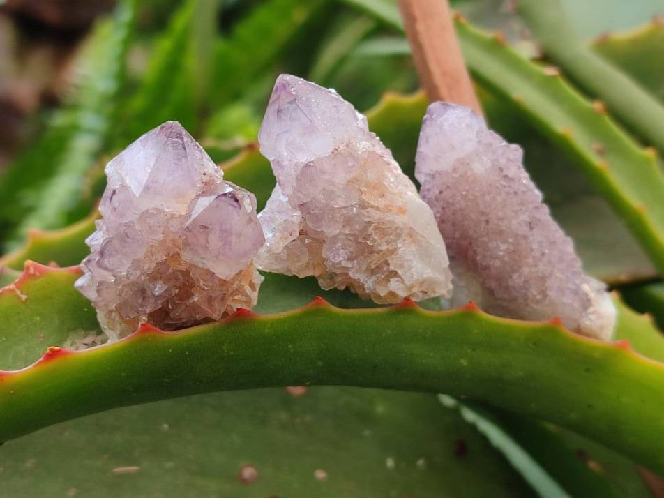 Natural Amethyst Spirit Quartz Clusters & Crystals x 35 From Boekenhouthoek, South Africa - Toprock Gemstones and Minerals 
