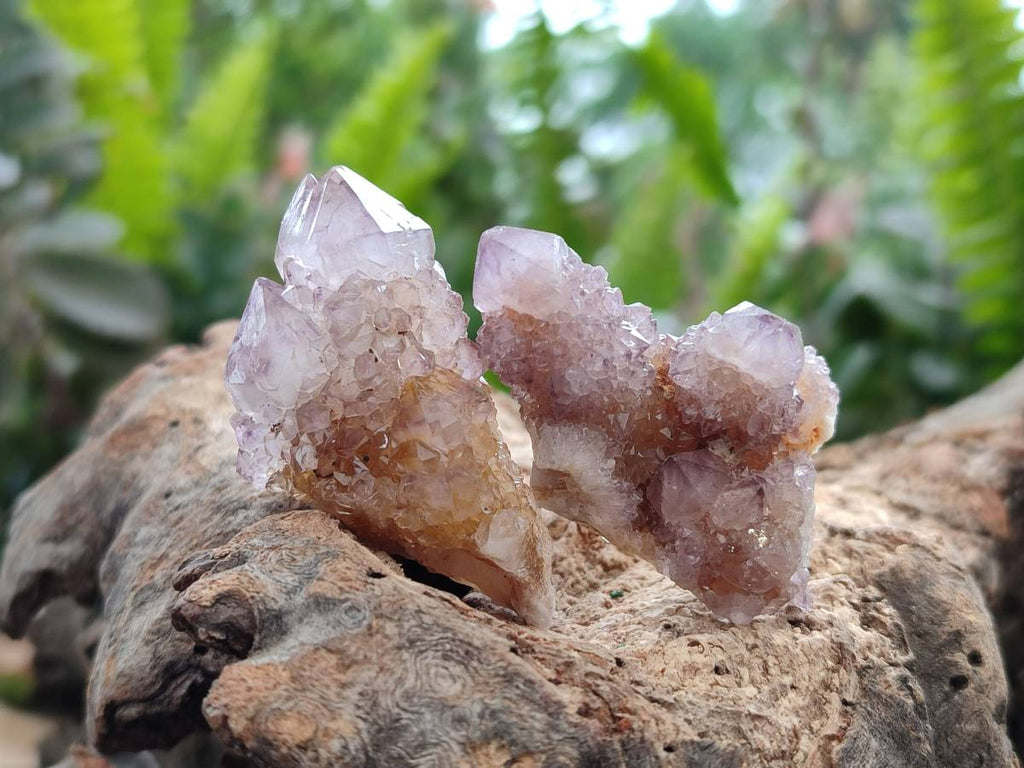 Natural Amethyst Spirit Quartz Clusters & Crystals x 35 From Boekenhouthoek, South Africa - Toprock Gemstones and Minerals 