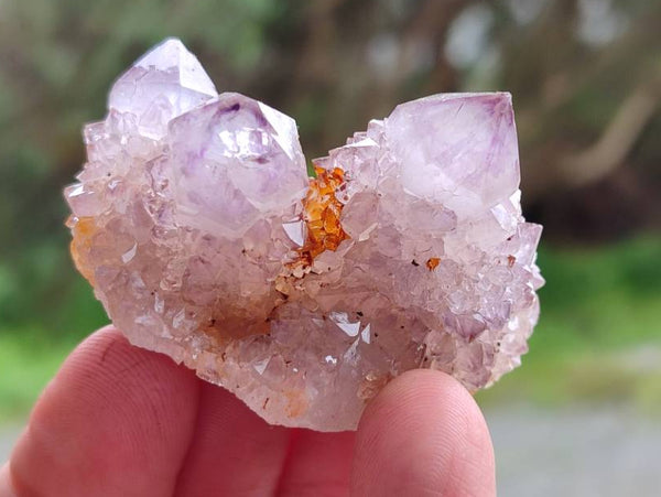 Natural Amethyst Spirit Quartz Clusters & Crystals x 35 From Boekenhouthoek, South Africa